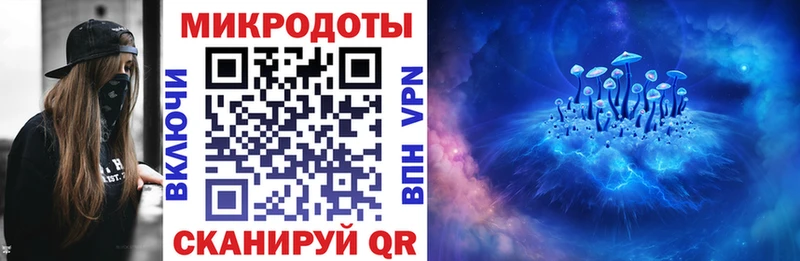 Псилоцибиновые грибы Psilocybe  закладка  мега вход  Туран 